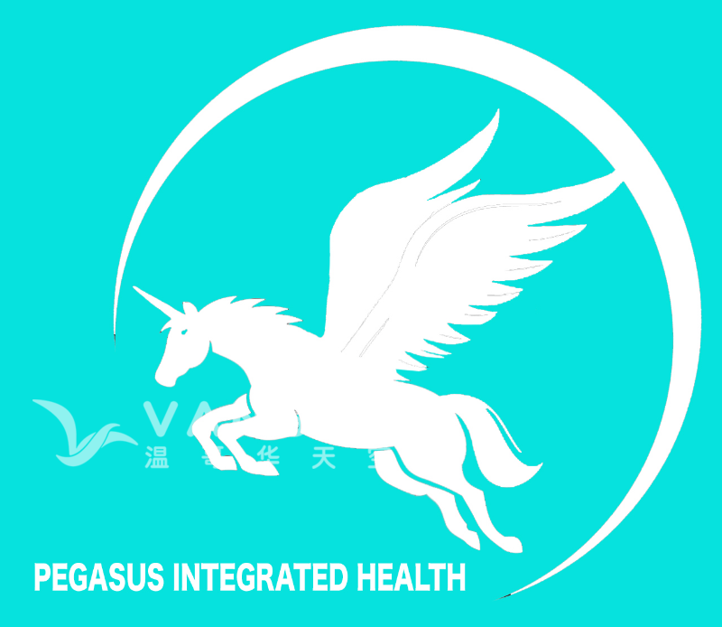 220830220819_Pegasus Logo in Blue.png